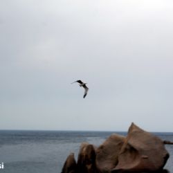 reportage Valle della Luna - ognuno la sua... grotta