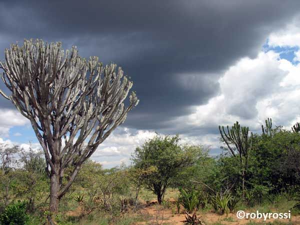 scatti dal Karamoja