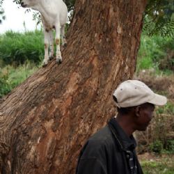 slum di Soweto - reportage Kenya