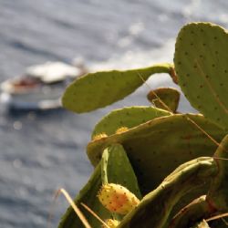 viaggio in Corsica - Bonifacio - reportage Roby Rossi