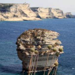 viaggio in Corsica - Bonifacio - reportage Roby Rossi