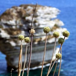 viaggio in Corsica - Bonifacio - reportage Roby Rossi