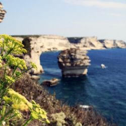 viaggio in Corsica - Bonifacio - reportage Roby Rossi