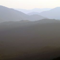 viaggio in Corsica - immagini dall'entroterra corso - reportage Roby Rossi