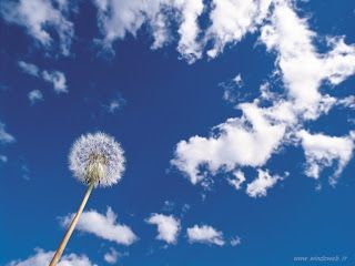 Ciao “vecchio”... così ti chiamavo, ricordi?