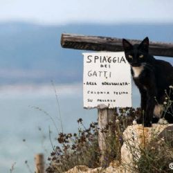 guardiano di Su Pallosu