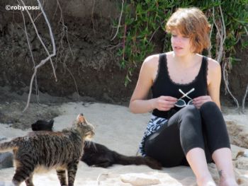 I gatti marini di Su Pallosu