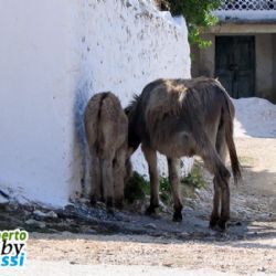 Albania in moto - viaggio in Albania