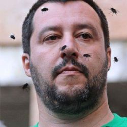 Decreto salvini sugli NCC - dicembre 2024