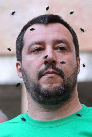 Decreto salvini sugli NCC - dicembre 2024