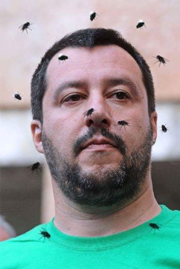 Decreto salvini sugli NCC - dicembre 2024