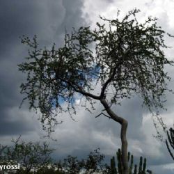 Africa - l'altra tua metà