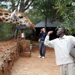 Langata Giraffa Park 