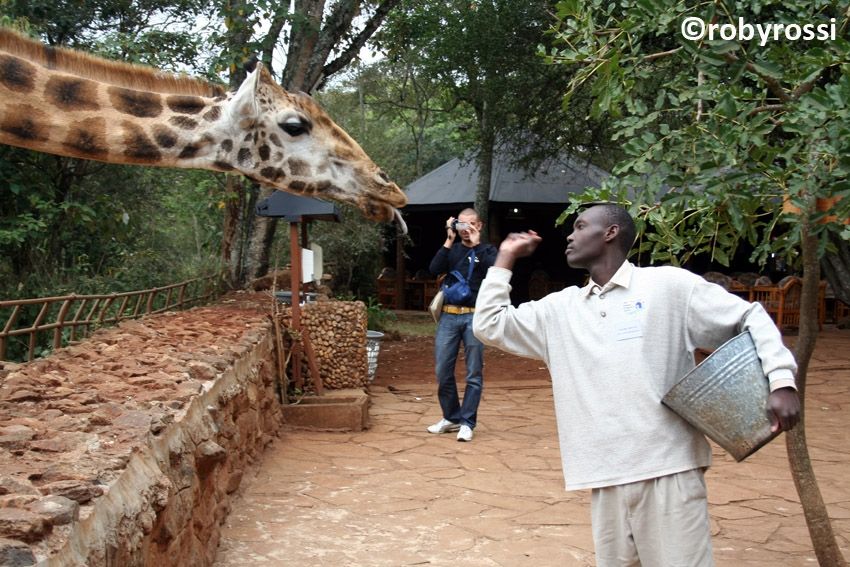 Langata Giraffa Park 