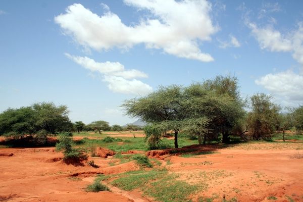 rosso argilla Mali