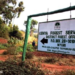 Kenya Forest Service - Nyeri