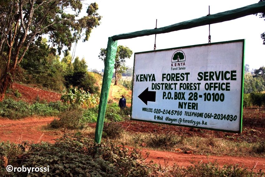 Kenya Forest Service - Nyeri